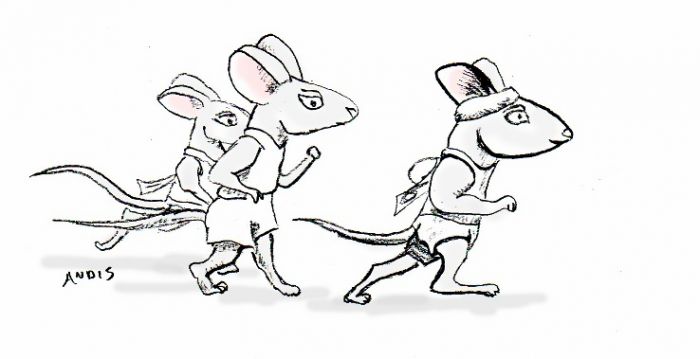 rat race by Andis